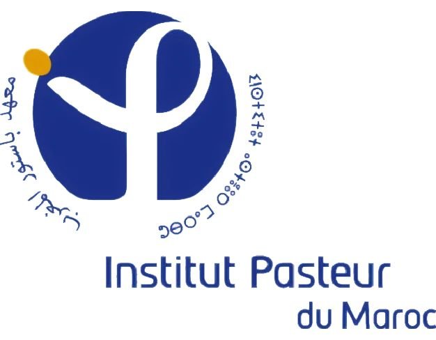 flaster Group Client pasteur 