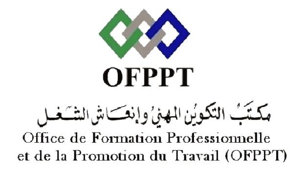 flaster Group Client ofppt 