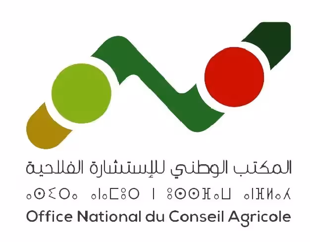 Logo ONCA Maroc