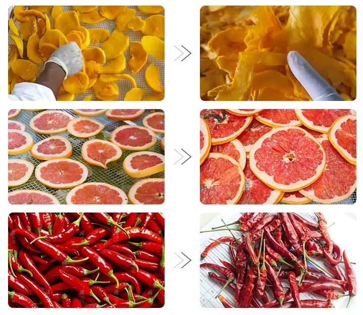 Installation du séchoir type conteneur